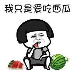 动画看娱乐圈吃瓜